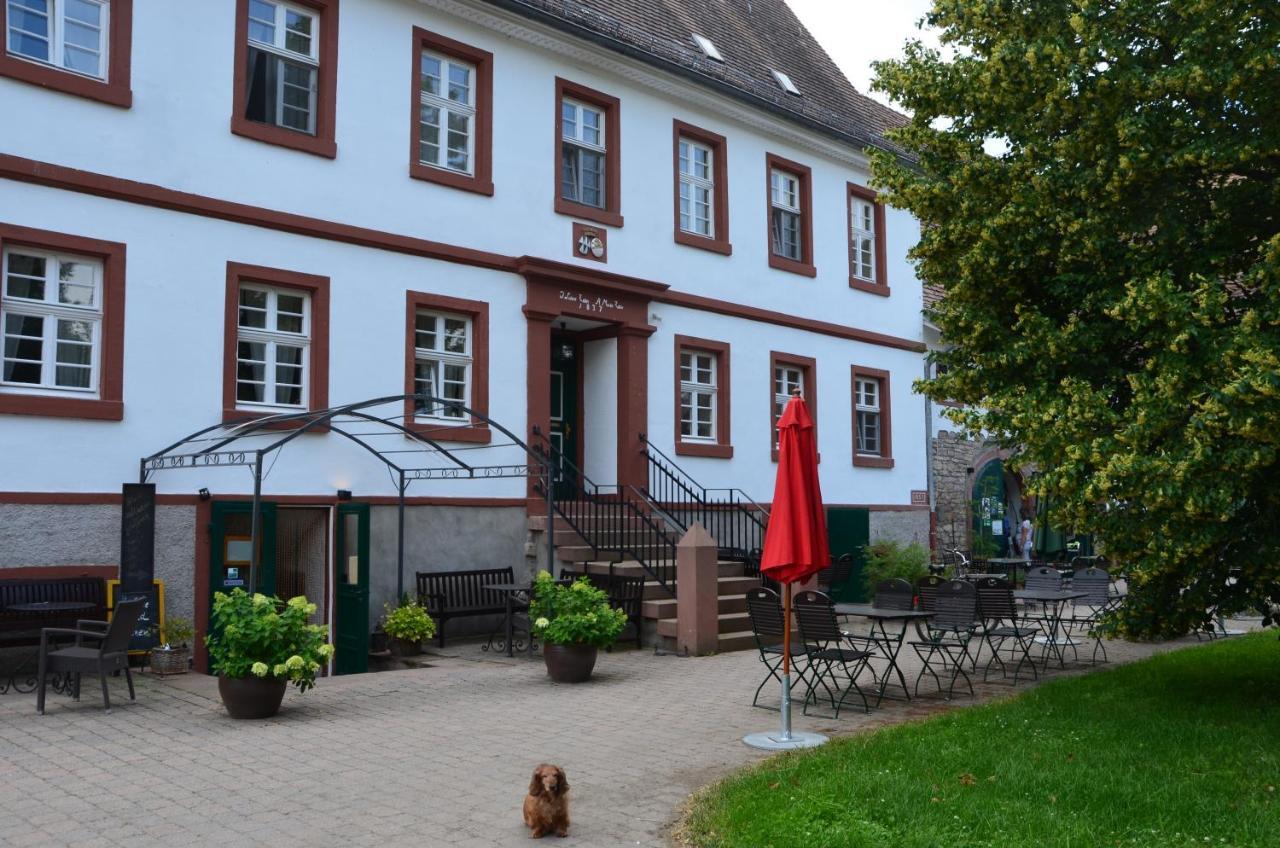 Wersauer Hof - Ferme Auberge 赖林根 外观 照片